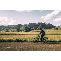 Charger GT Vario HS (2019)