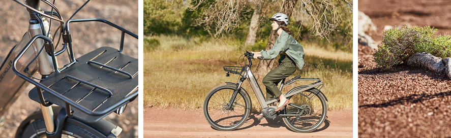 Riese & muller culture gt