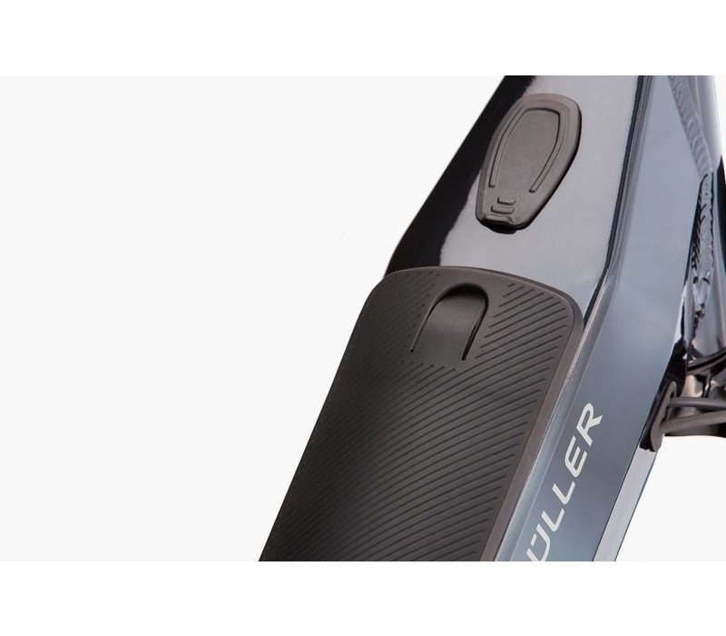 Homage GT Vario HS (2019)