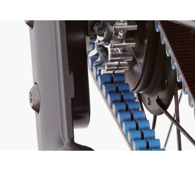 Homage GT Vario HS (2019)