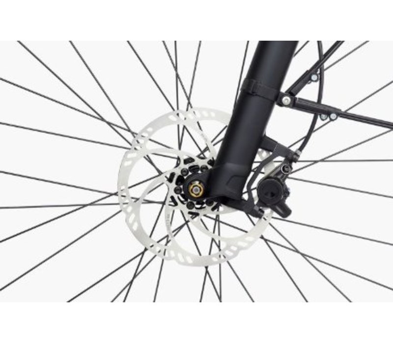 Homage GT Vario HS (2019)