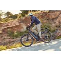 Homage GT Vario HS (2019)