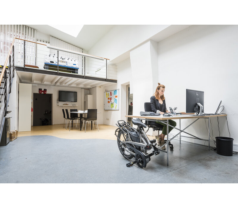 Vektron S10 Electric Folding Bike