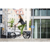 Vektron S10 Electric Folding Bike