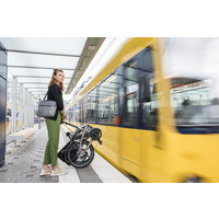 Vektron S10 Electric Folding Bike