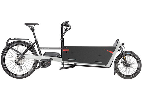 Riese & Müller Electric Bikes Packster 80 Vario HS