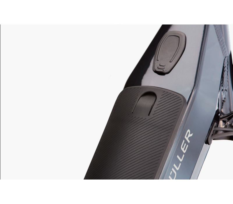 Homage GT Rohloff HS