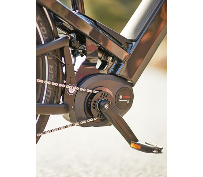 Homage GT Rohloff HS