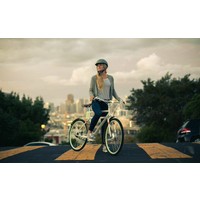 Porteur Electric Bike