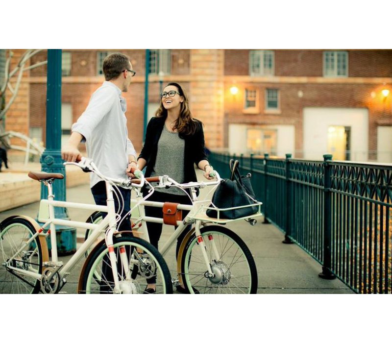 Porteur Electric Bike