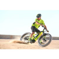 Monster E FS Electric Fat Tire Bike