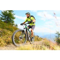 Monster E S Electric Bike