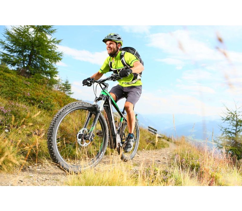 Monster E S Electric Bike