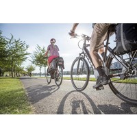 Lacuba Evo E45 Step Thru