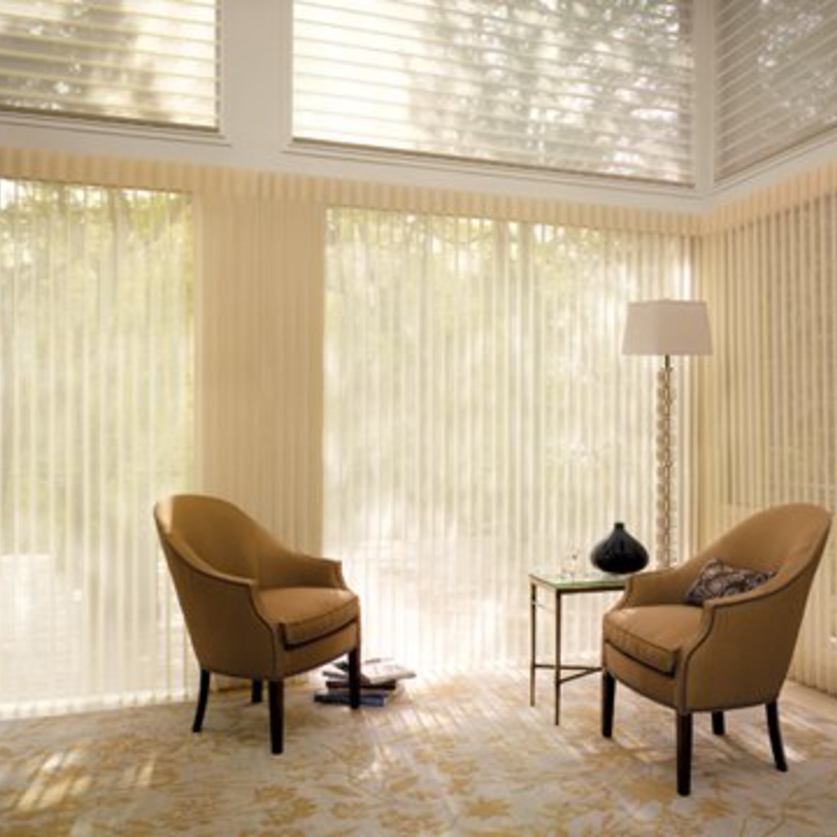 Privacy Sheers by Hunter Douglas Trendy Blinds Inc.