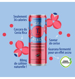 T. Glacé infusion énergisante 12x355ml