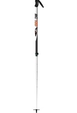 Rossignol BC 100 adjustable poles