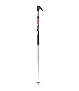 Rossignol BC 100 adjustable poles