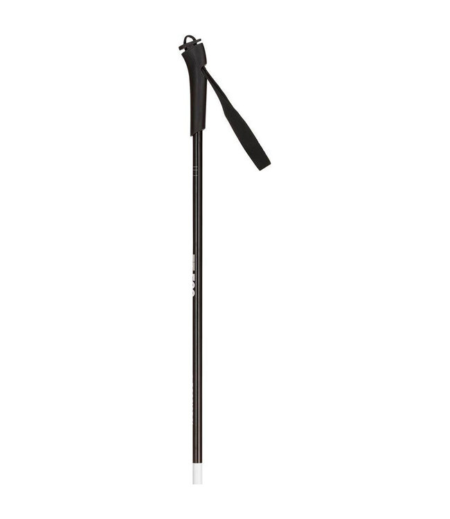 Rossignol FT-500 X-C poles