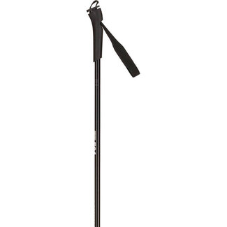 Rossignol FT-501 poles