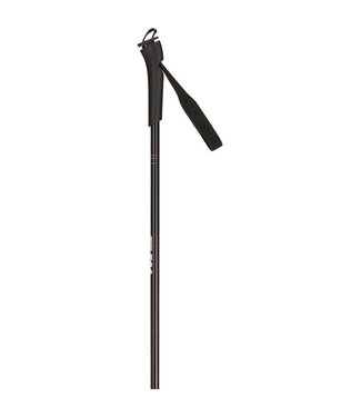 Rossignol FT-501 poles