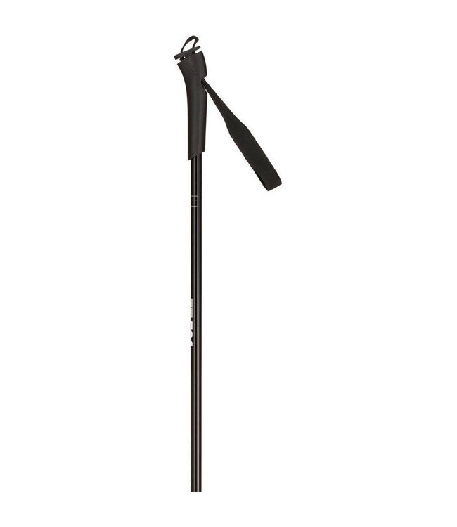 Rossignol FT-501 poles for kids