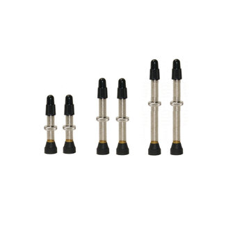 Valve Stan's presta (pr)