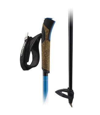 Salomon R30 click poles