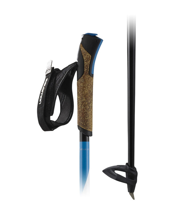Salomon R30 click poles