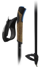 Salomon R60 click poles