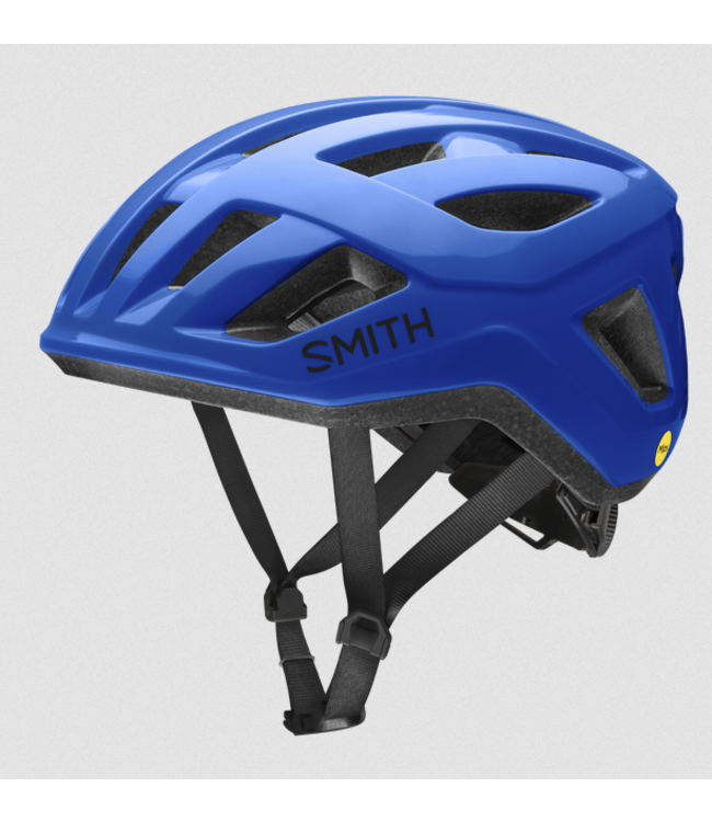 Casque Smith Signal Mips