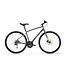 Devinci Milano Disc Acera