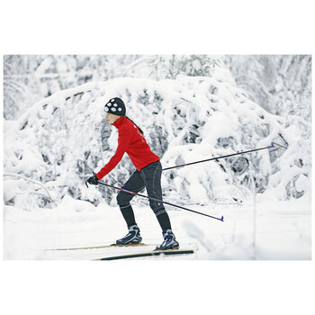 X-C SKIS