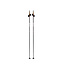 Swix Dynamic D1 poles