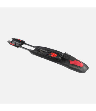 Rossignol Premium + Skate bindings