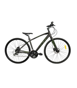DCO DCO Odyssey Sport 2 - Homme