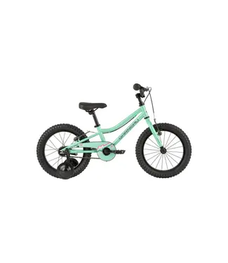 GARNEAU Garneau F-16