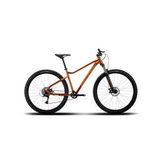 DEVINCI Devinci Riff Altus 8vit.