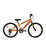 DCO Satellite Sport