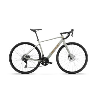 DEVINCI Devinci E-Hatchet Tour