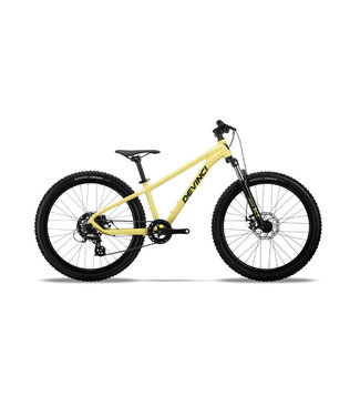DEVINCI Devinci Ewoc 24po