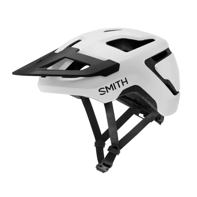 Smith Pilot helmet