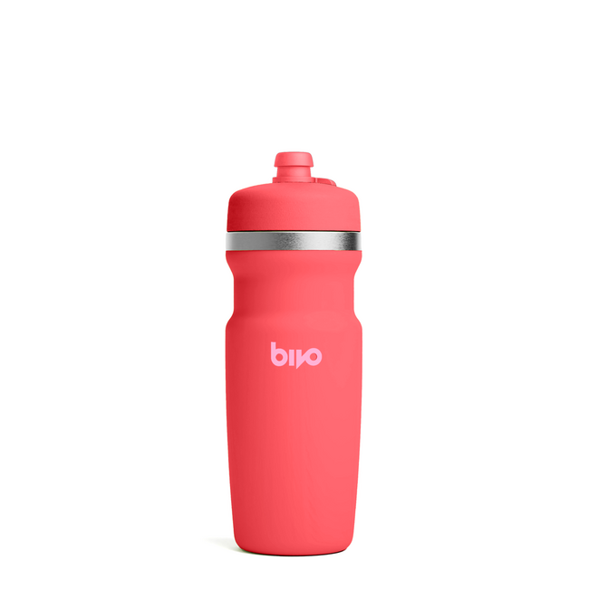 Bouteille Bivo Trio isolée 17oz