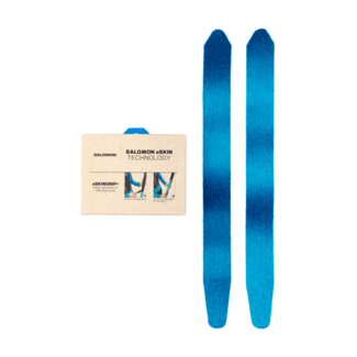 Skin remplacement Salomon eSkingrip