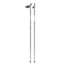 Salomon R30 Click poles