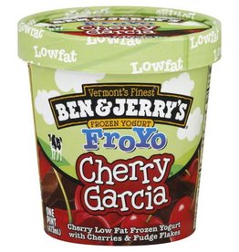 Ben & Jerry's Cherry Garcia Frozen Yogurt FroYo 1 Pt