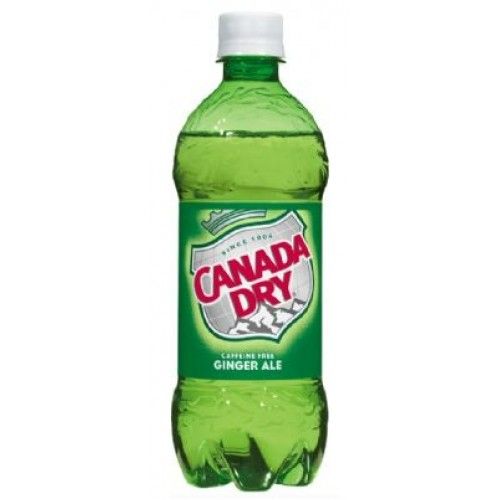 Canada Dry Ginger Ale 20 OZ