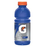 Gatorade Fruit Punch 20 OZ