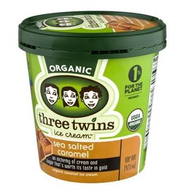 Three Twins Organic Sea Salt Caramel Ice Cream Cup