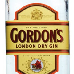 Gordon's Gin